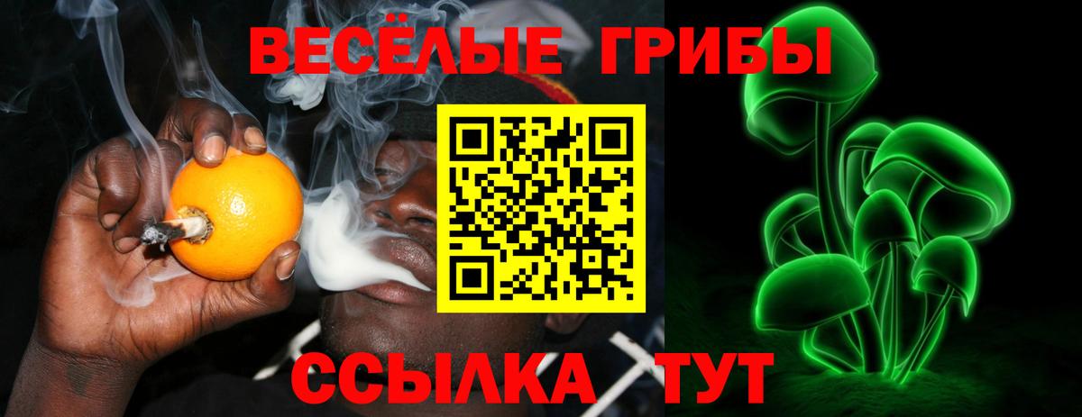 Электрогорск  Псилоцибиновые грибы MAGIC MUSHROOMS  Вход с VPN 
